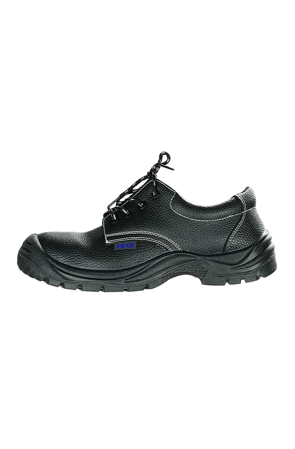 Anti-static safety shoes